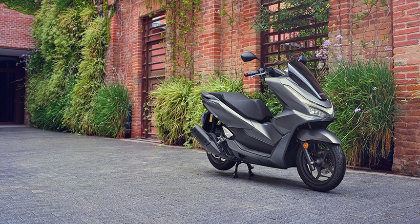PCX 1.webp