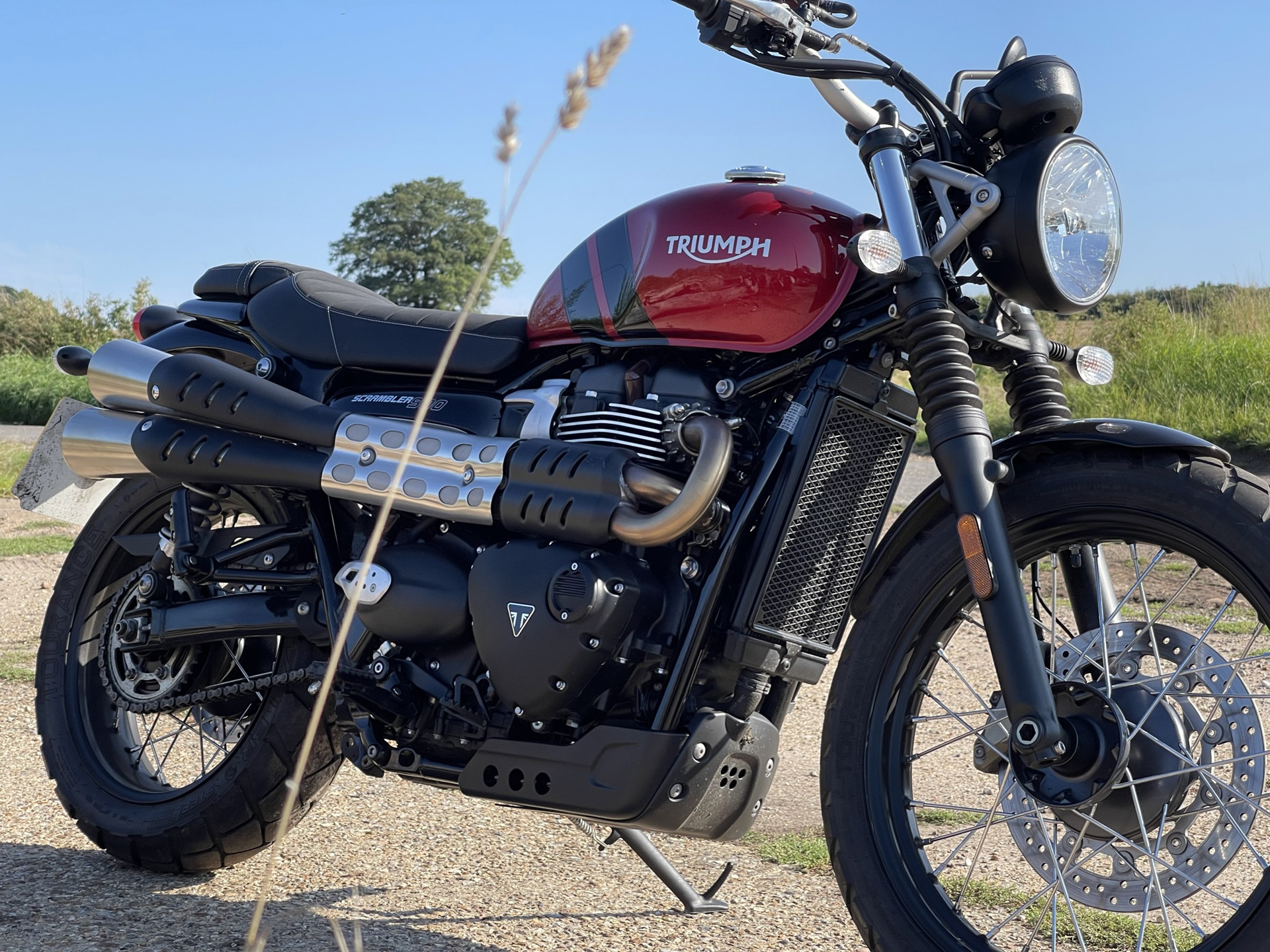 Triumph scrambler 900 2019 top