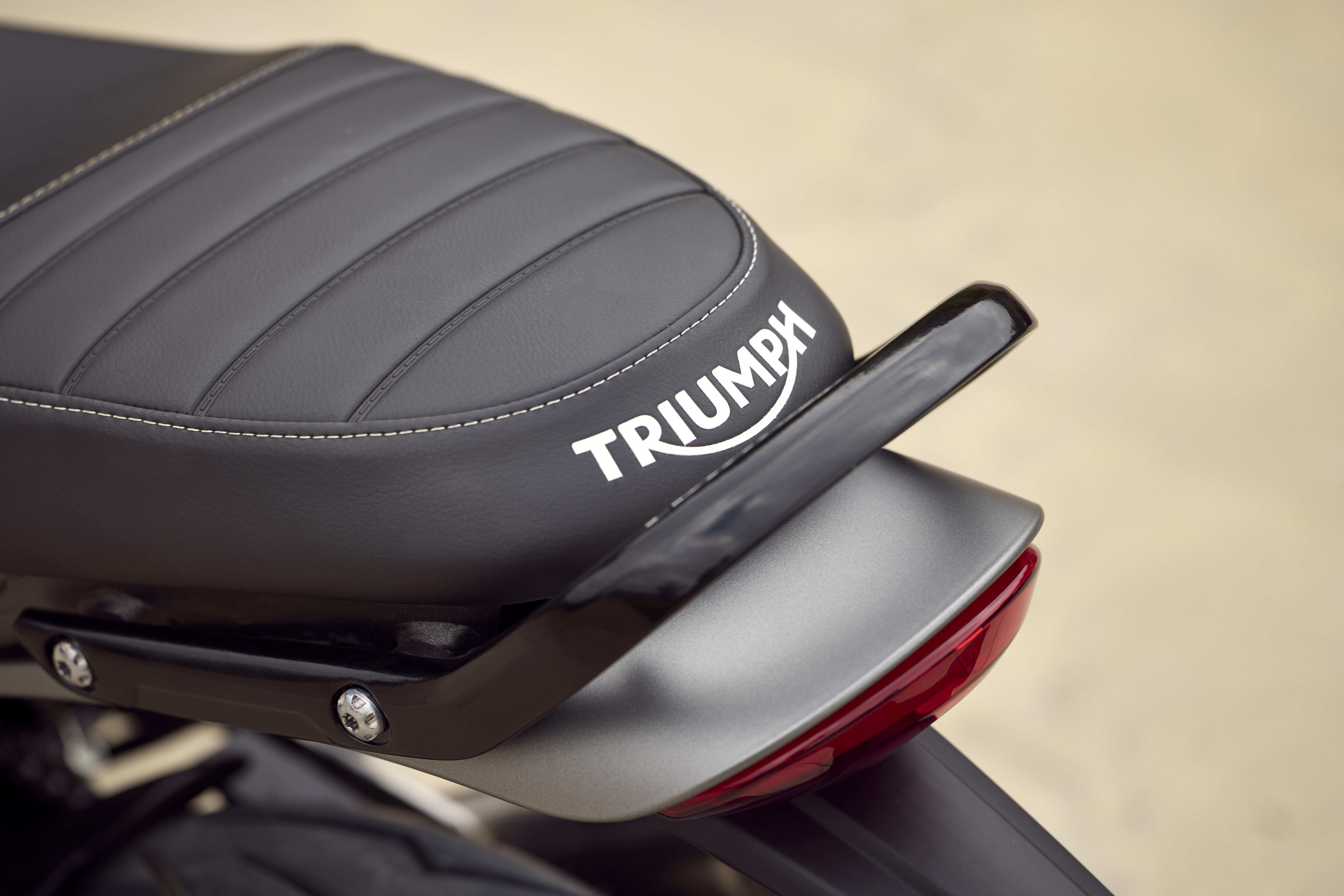 Triumph Speed 400 Details (10)