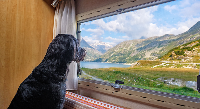 Essential Motorhome Accessories Every Adventurer Needs! - Lexham Insurance