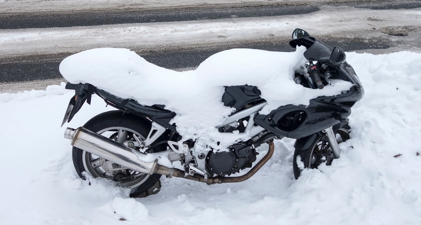 Snow.webp