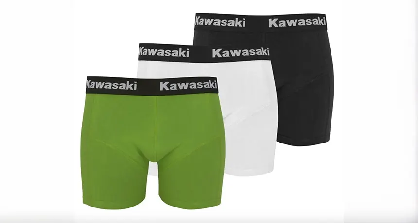 kawasaki pants.webp