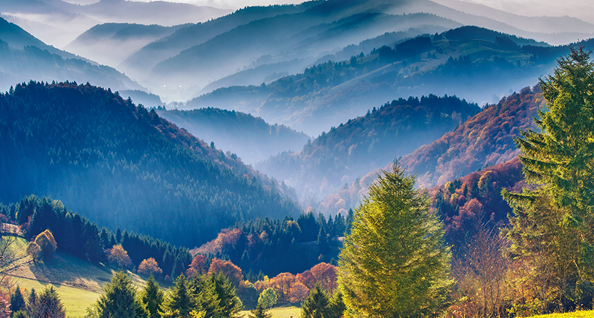 black forest germany