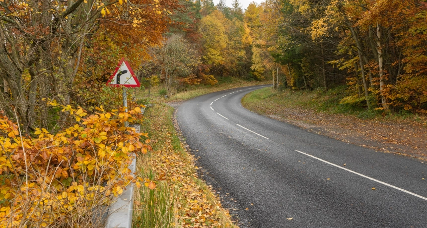 Autumn.webp