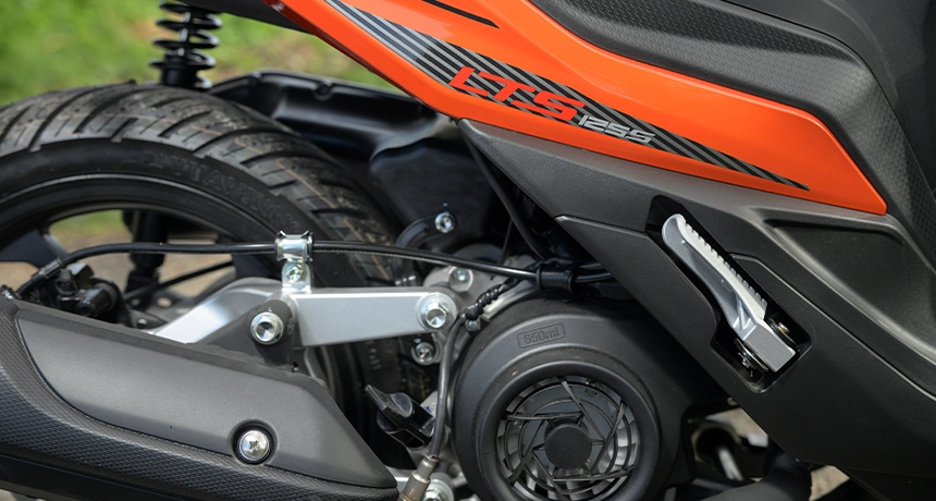 CLOSE UP SIDE PROFILE .webp