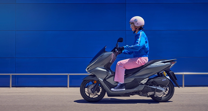 PCX 4.webp