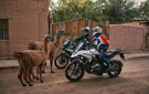 7 Things to Know | 2024 BMW R 1300 GS
