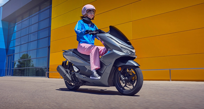 PCX 6.webp
