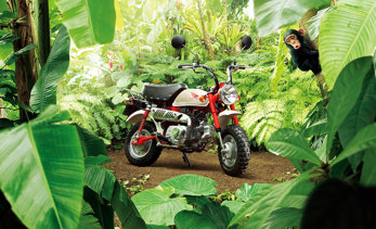 70th Anniversary Edition | The History of Honda’s Monkey Bike