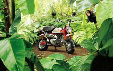 70th Anniversary Edition | The History of Honda’s Monkey Bike