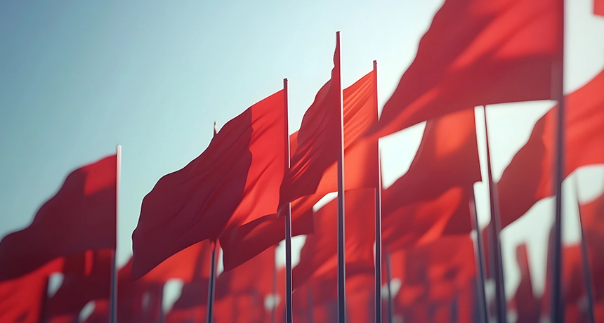 Red flags.webp